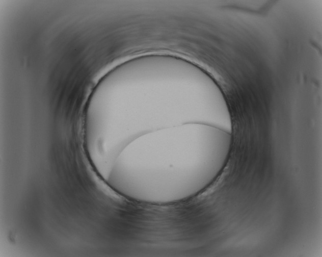 X0000091341526200708311446