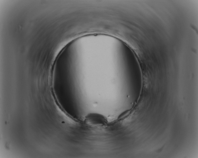 X0000091341527200708311446