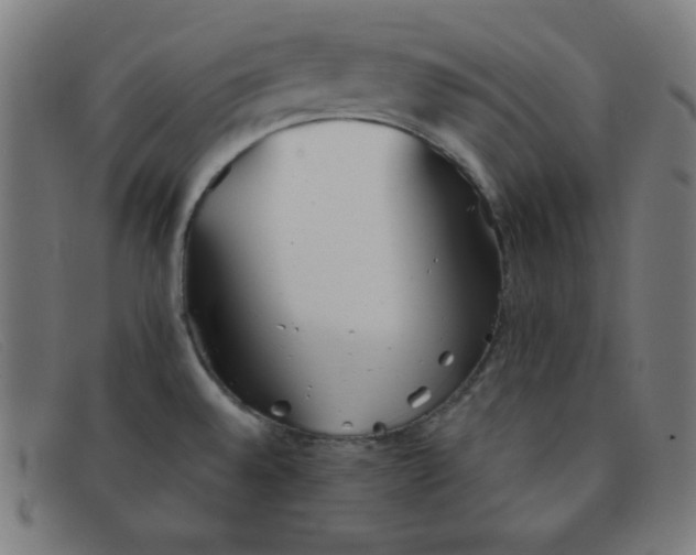 X0000091341528200708311446