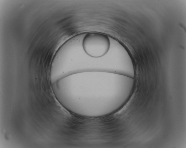 X0000091341529200708311446