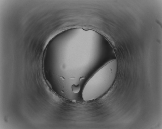 X0000091341530200708311446