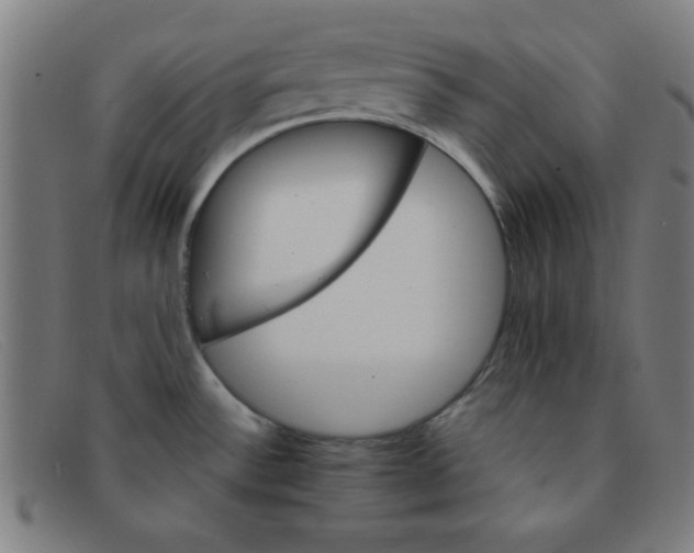 X0000091341532200708311446