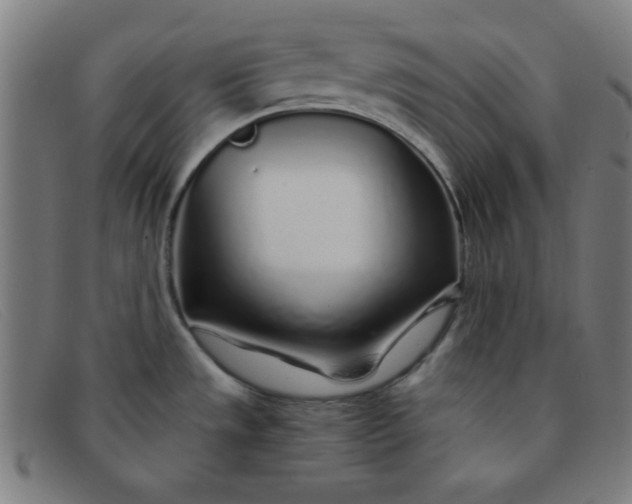 X0000091341533200708311446