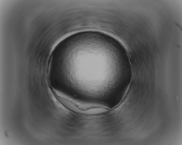 X0000091341534200708311446