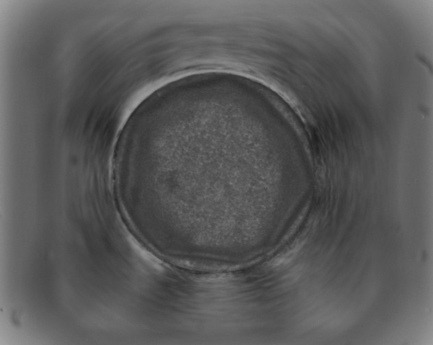 X0000091341535200708311446