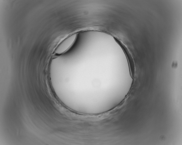 X0000091340001200709071227