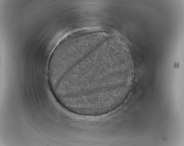 X0000091340002200709071227