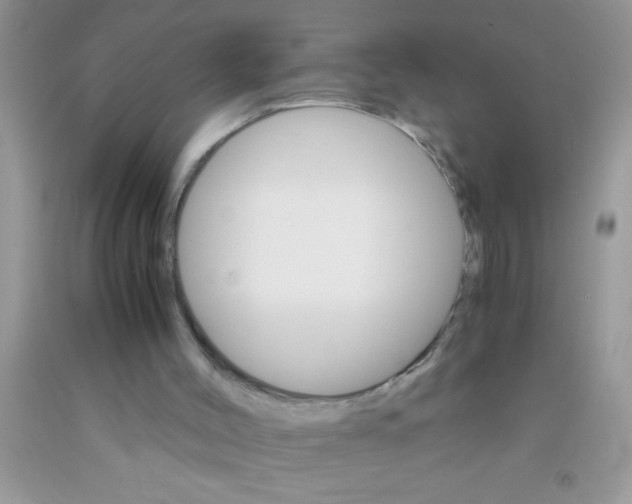 X0000091340004200709071227