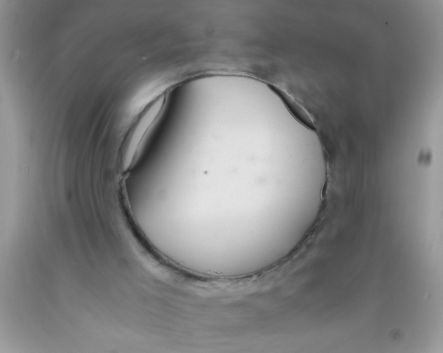 X0000091340005200709071227