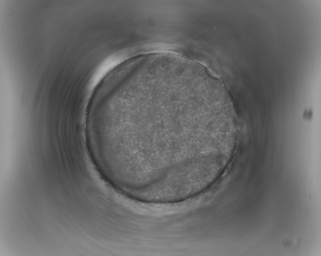 X0000091340006200709071227