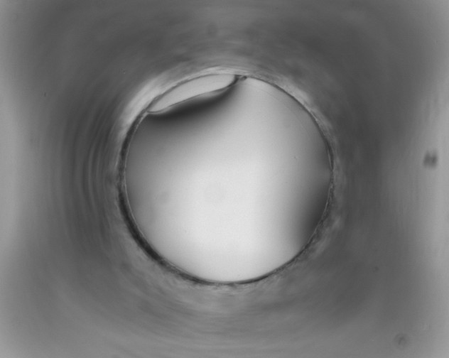 X0000091340007200709071227