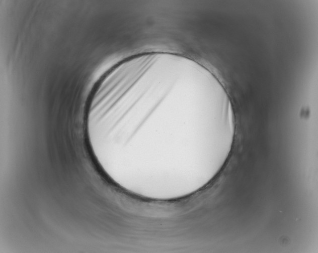 X0000091340008200709071227