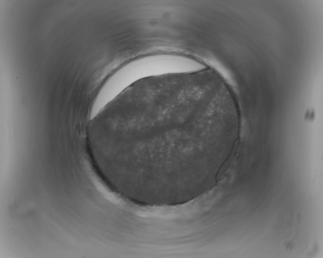 X0000091340009200709071227