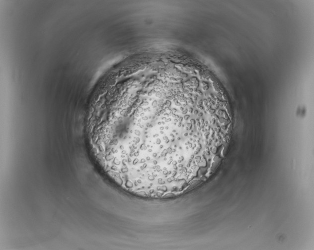 X0000091340010200709071227