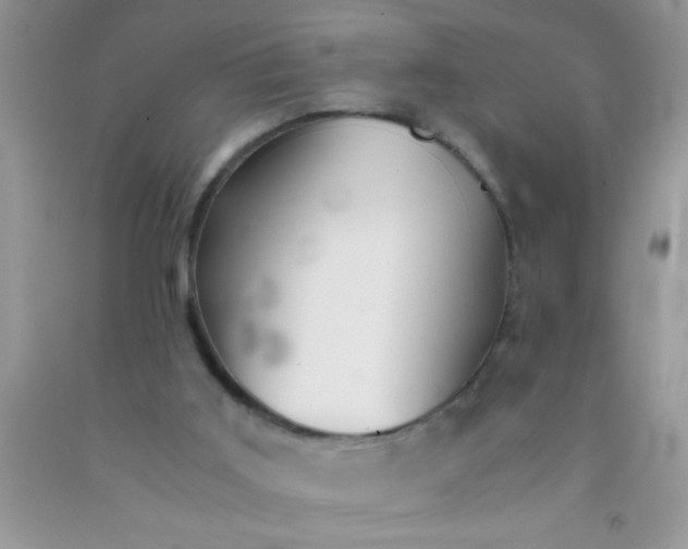 X0000091340011200709071227