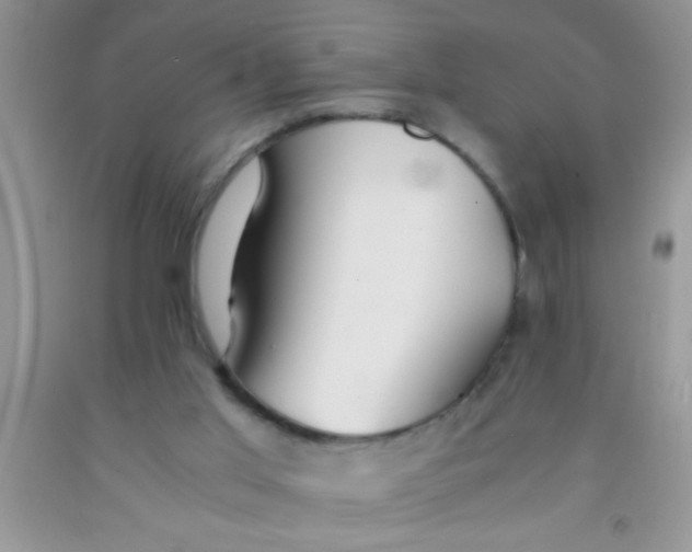 X0000091340013200709071227