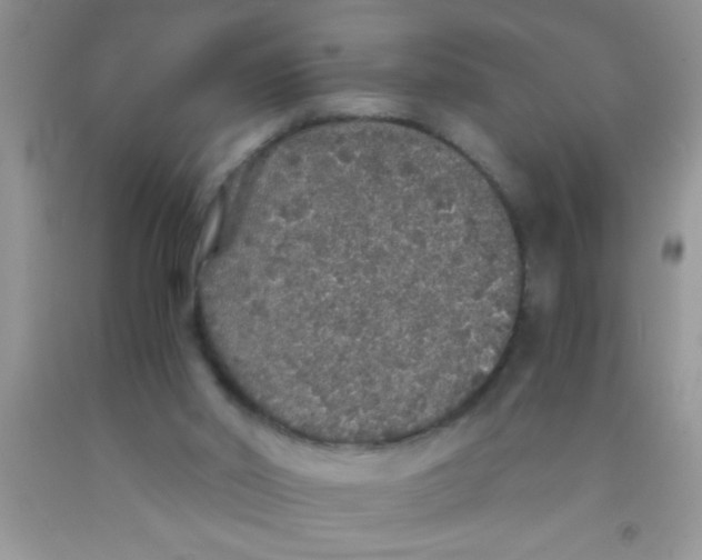 X0000091340014200709071227