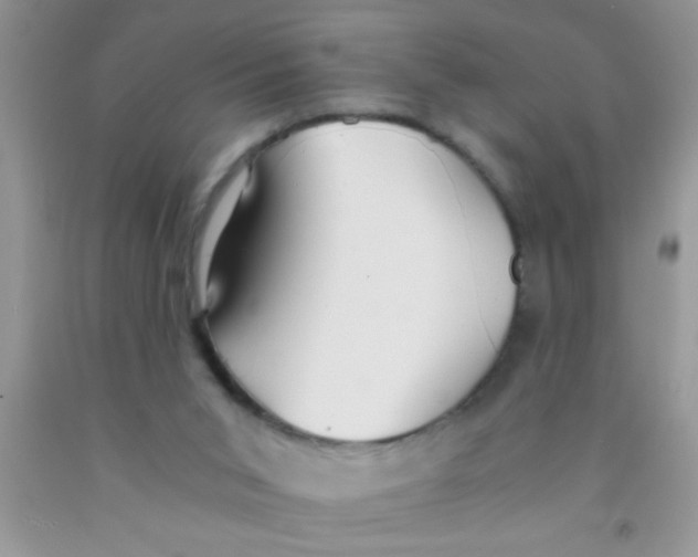 X0000091340015200709071227