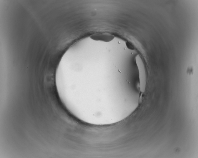 X0000091340017200709071227