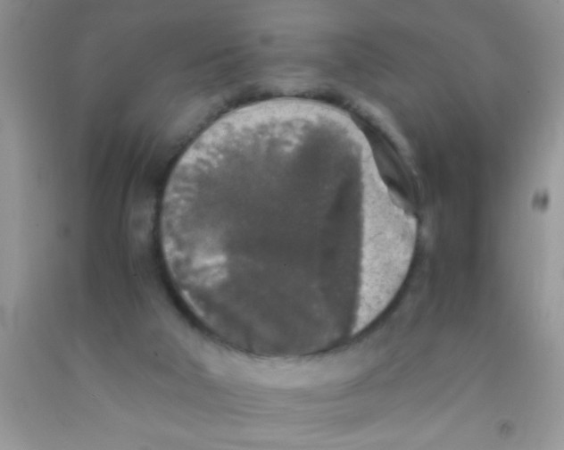 X0000091340018200709071227