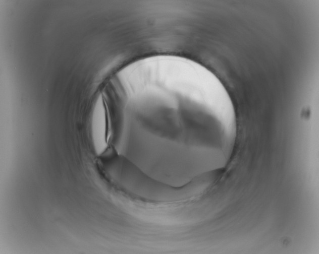 X0000091340019200709071227