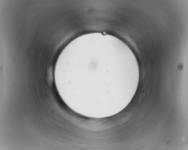 X0000091340020200709071227