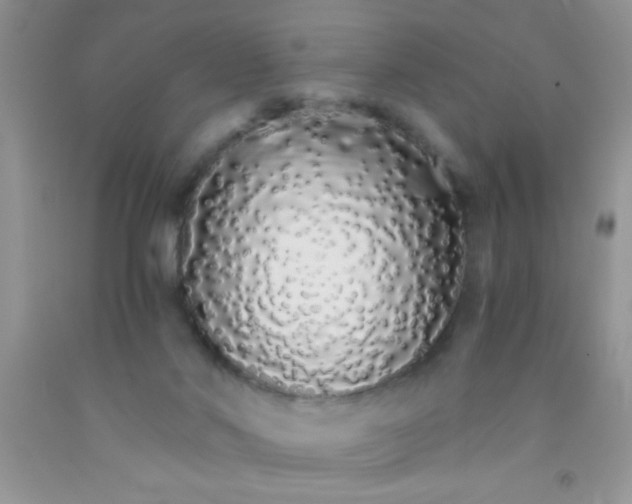 X0000091340022200709071227