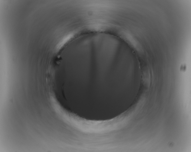 X0000091340023200709071227