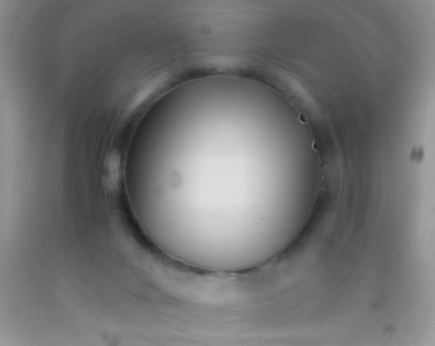 X0000091340024200709071227