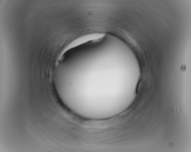 X0000091340025200709071227