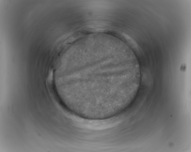 X0000091340026200709071227