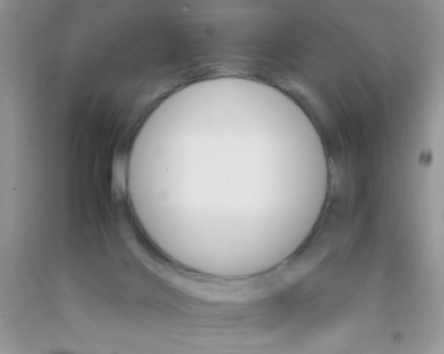 X0000091340028200709071227