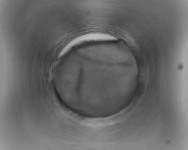 X0000091340029200709071227