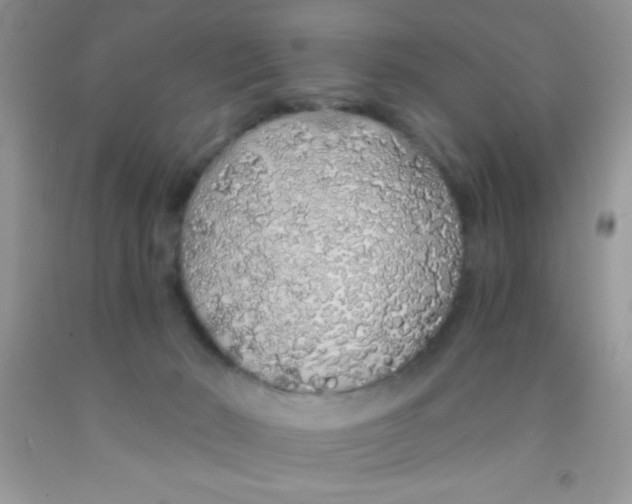 X0000091340030200709071227