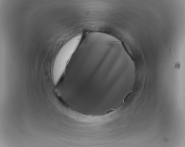 X0000091340031200709071227