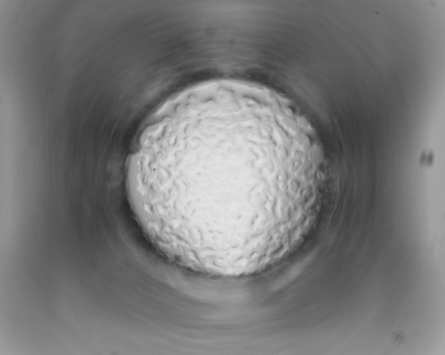 X0000091340032200709071227