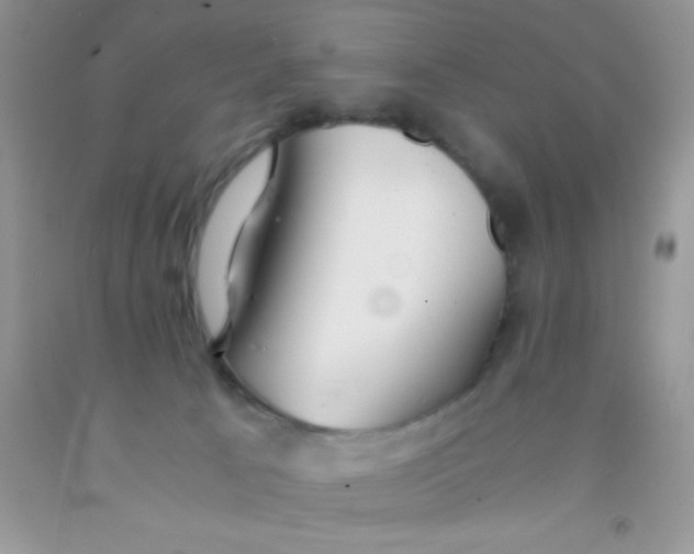 X0000091340033200709071227