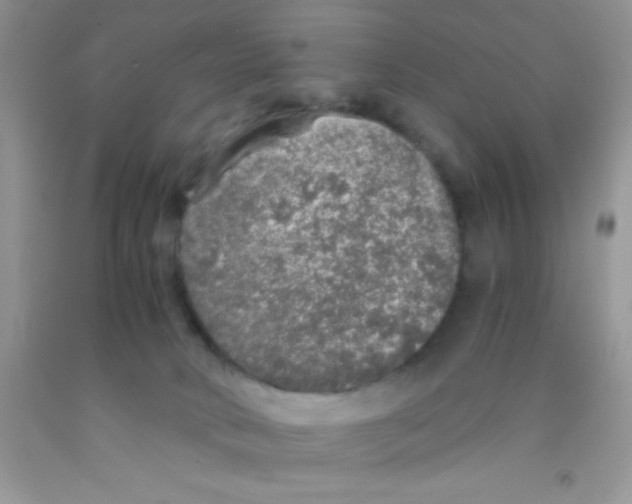 X0000091340034200709071227