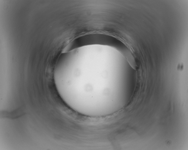 X0000091340037200709071227