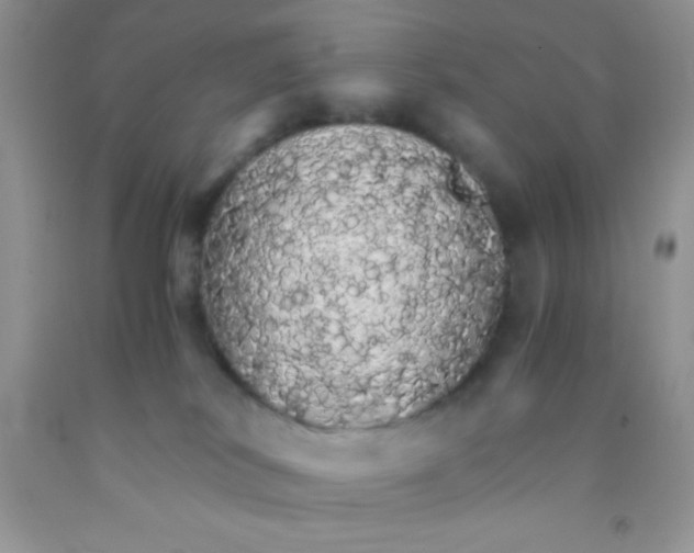 X0000091340038200709071227