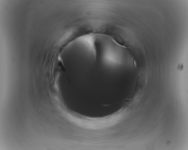 X0000091340039200709071227