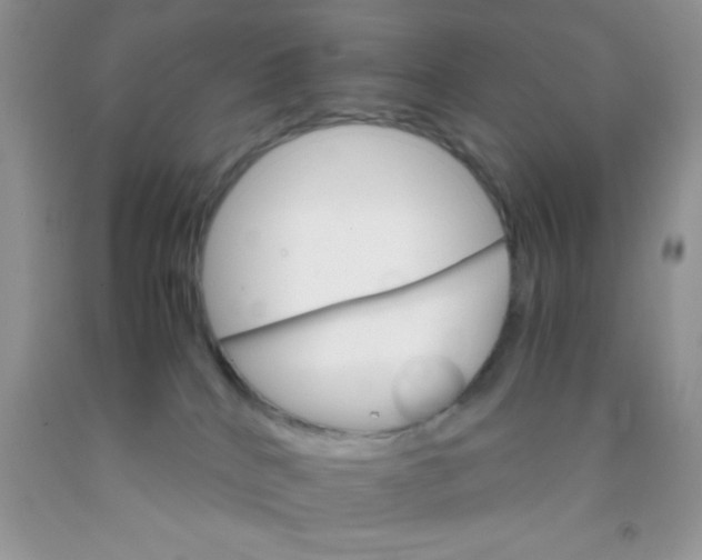 X0000091340040200709071227