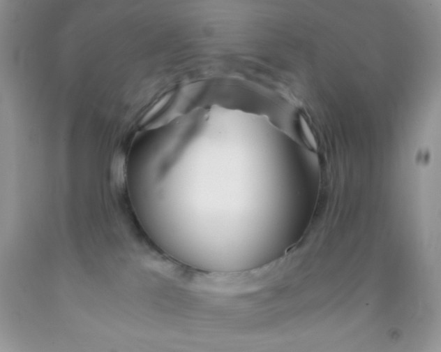 X0000091340041200709071227