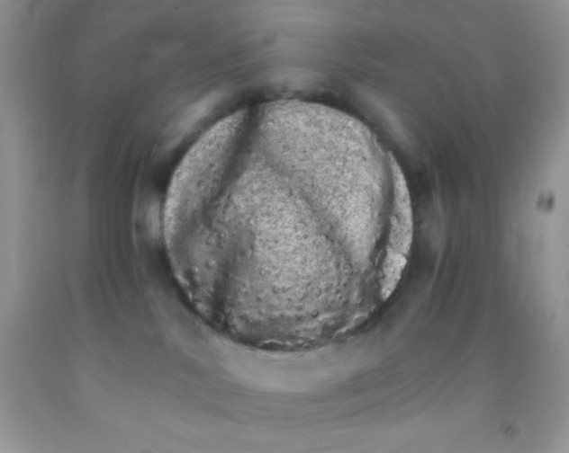 X0000091340042200709071227