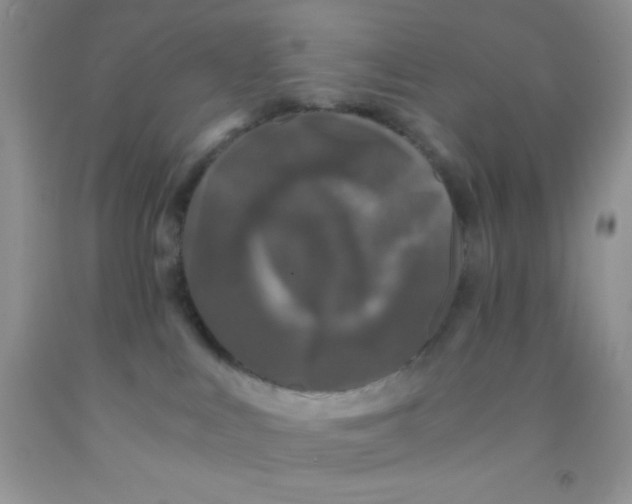 X0000091340043200709071227