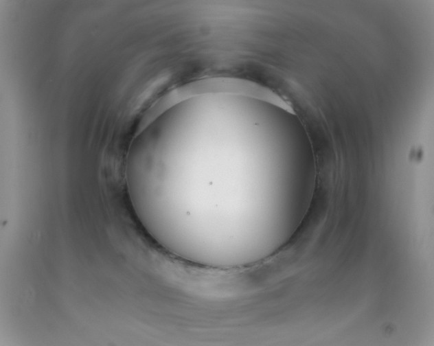 X0000091340044200709071227