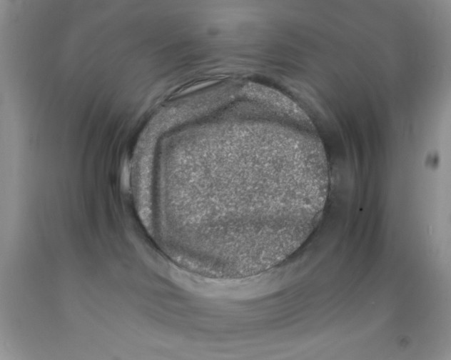 X0000091340046200709071227