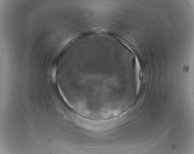 X0000091340047200709071227