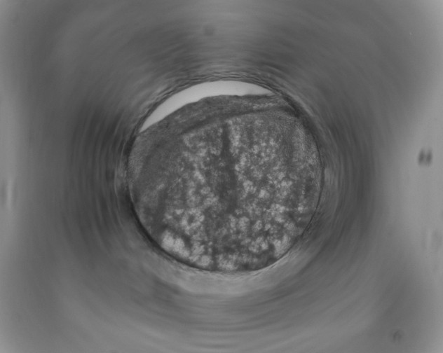 X0000091340048200709071227