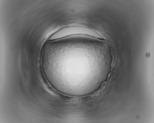 X0000091340050200709071226